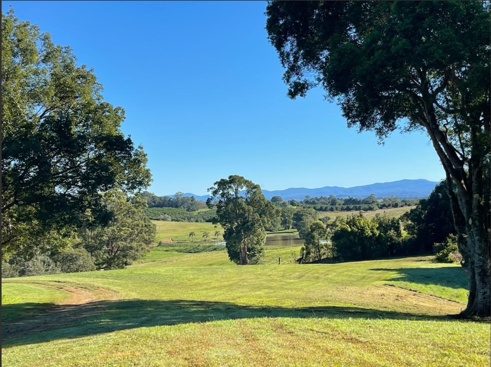 148 Humpty Back Road, McLeans Ridges, NSW, 2480, McLeans Ridges - Thumbnail 4