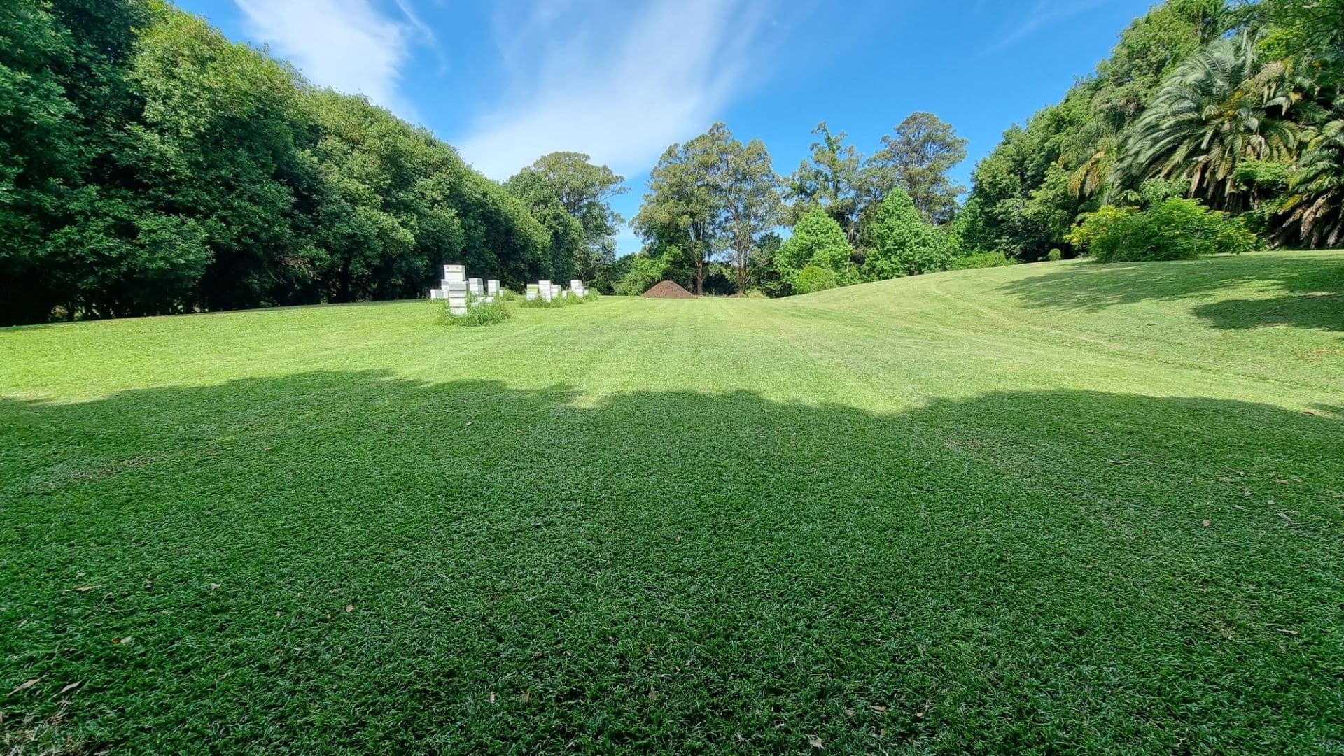 16 Converys Lane, Wollongbar, NSW, 2477, Wollongbar - Thumbnail 2
