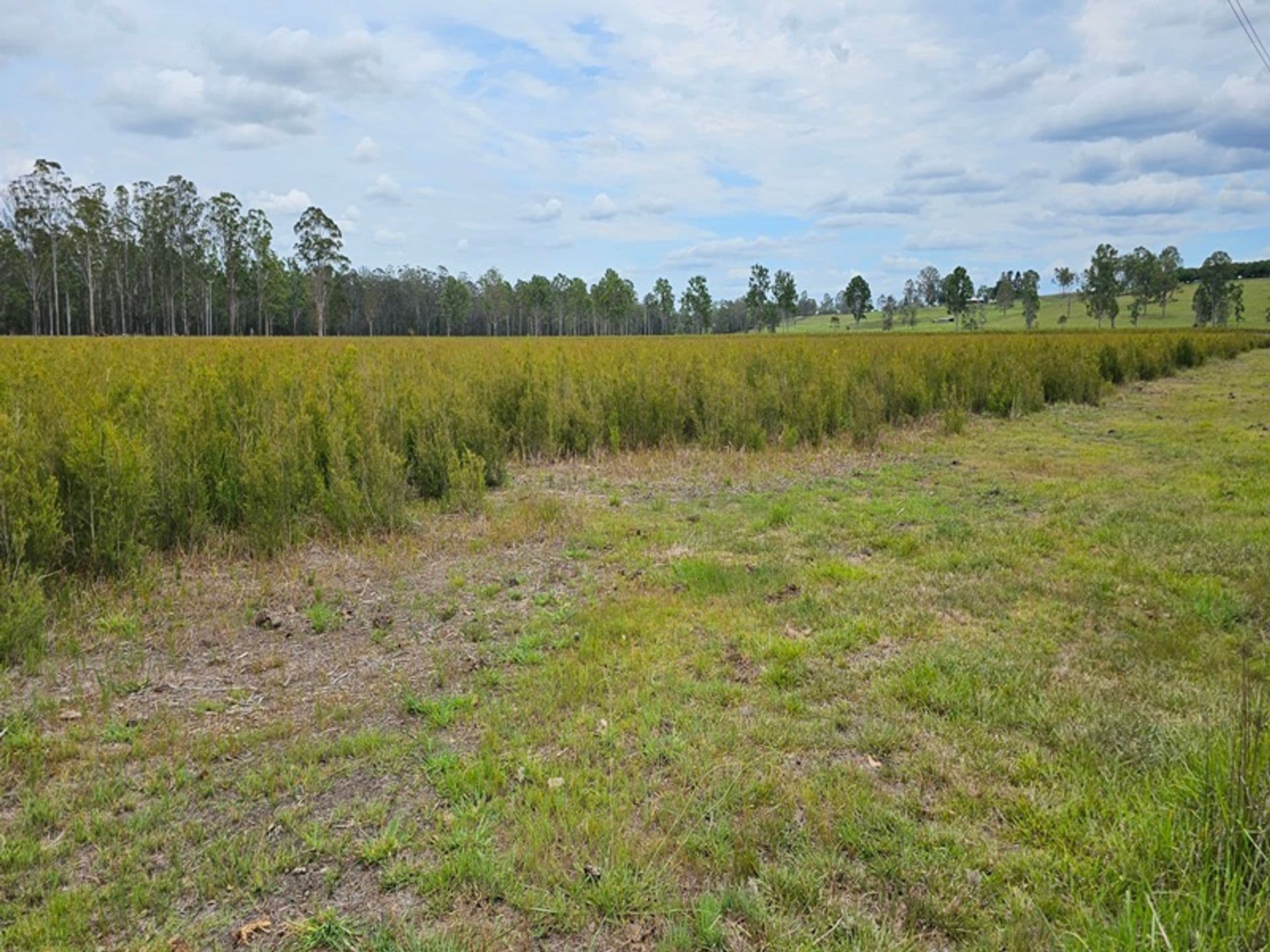 Address Withheld, Tatham, NSW, 2471, Tatham - Image 1