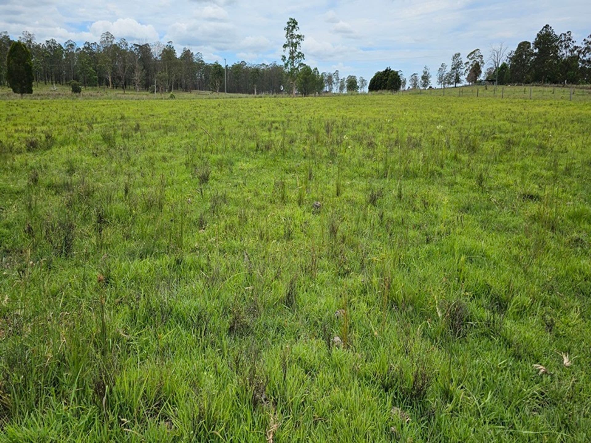 Address Withheld, Tatham, NSW, 2471, Tatham - Thumbnail 2