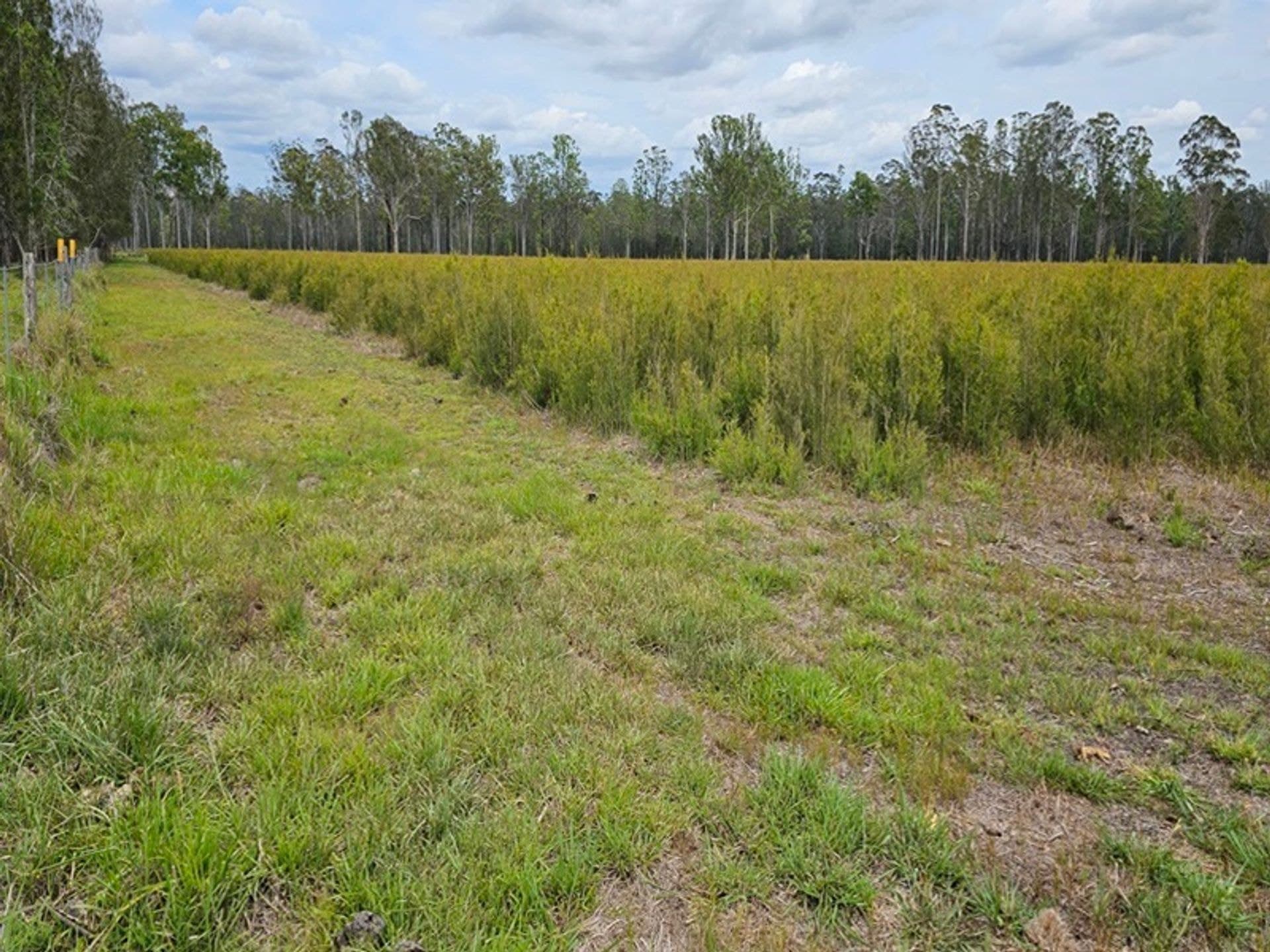 Address Withheld, Tatham, NSW, 2471, Tatham - Thumbnail 3