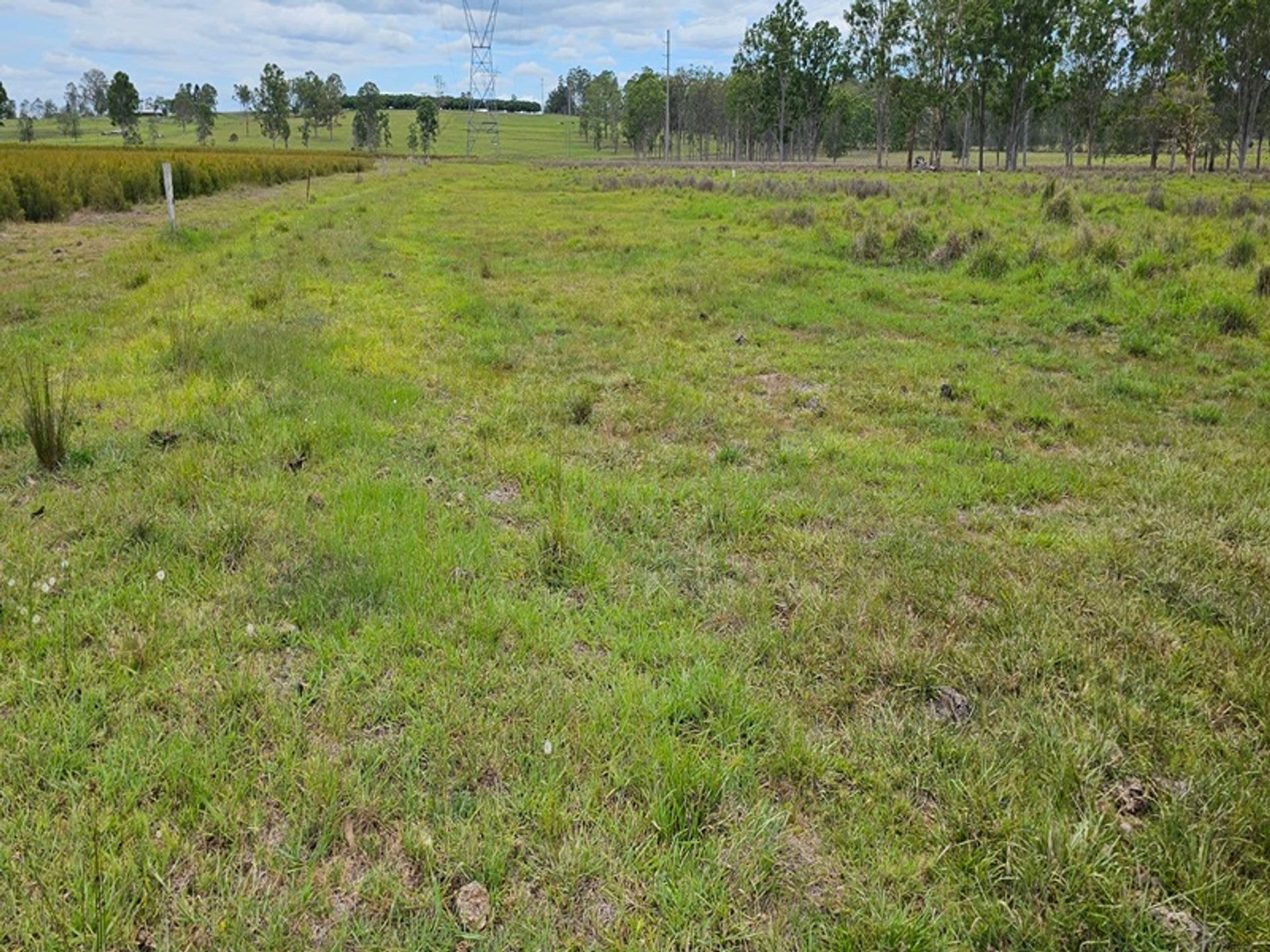 Address Withheld, Tatham, NSW, 2471, Tatham - Thumbnail 5