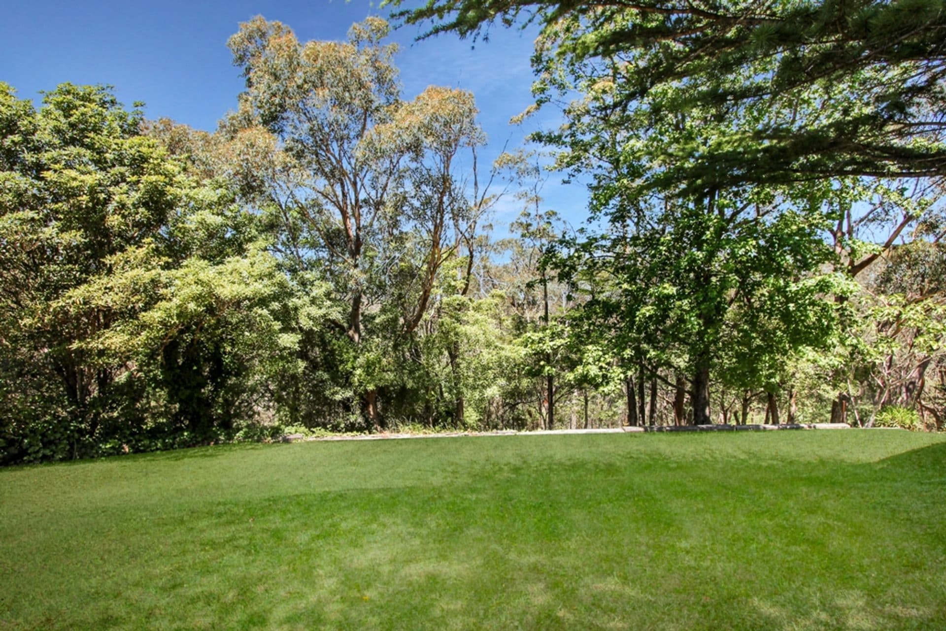 59 Boronia Road, Bullaburra, NSW, 2784, Bullaburra - Thumbnail 2