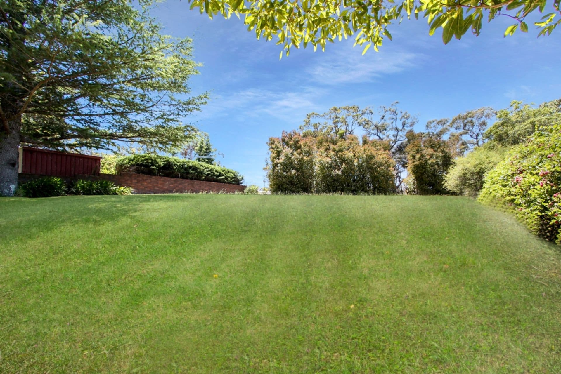 59 Boronia Road, Bullaburra, NSW, 2784, Bullaburra - Thumbnail 3