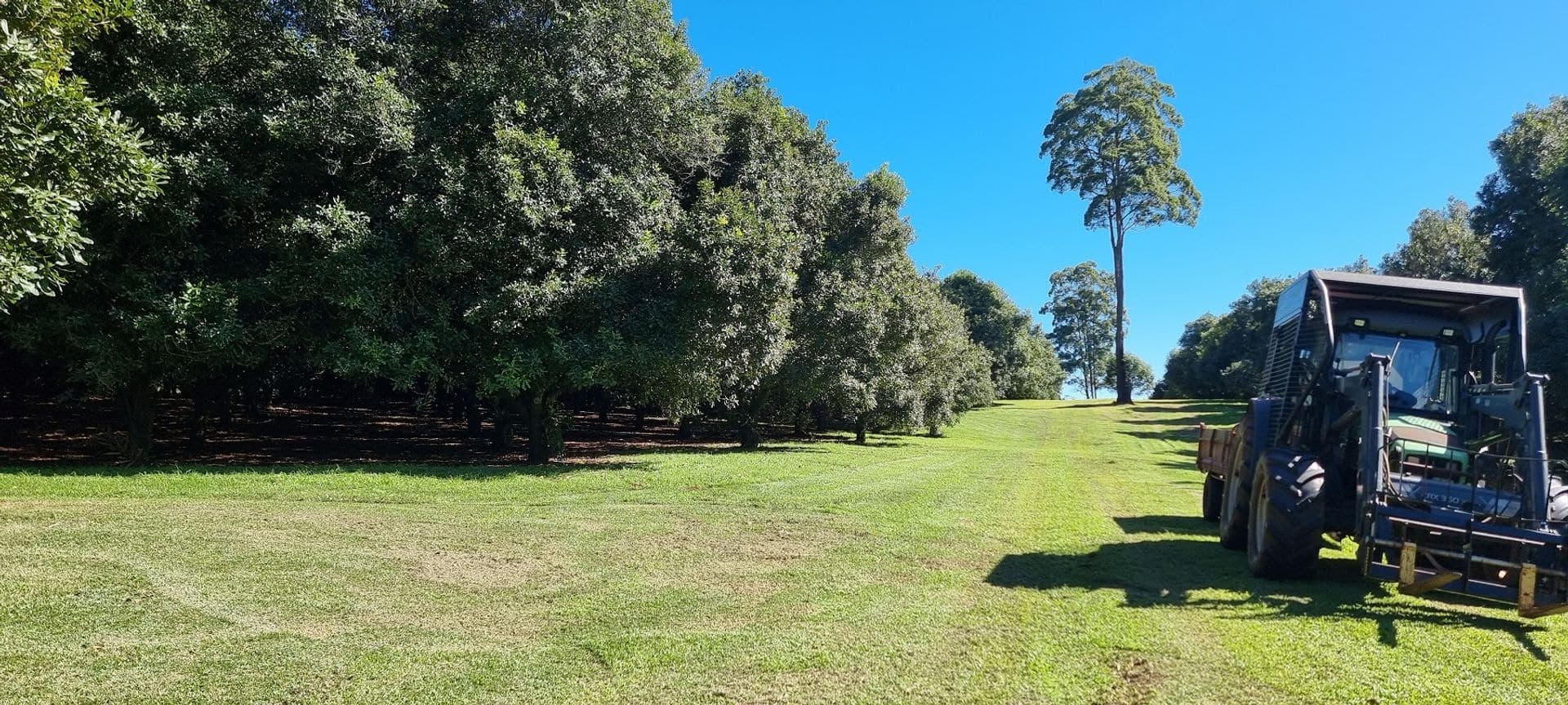 161 Fletcher Road, Dunoon, NSW, 2480, Dunoon - Thumbnail 7