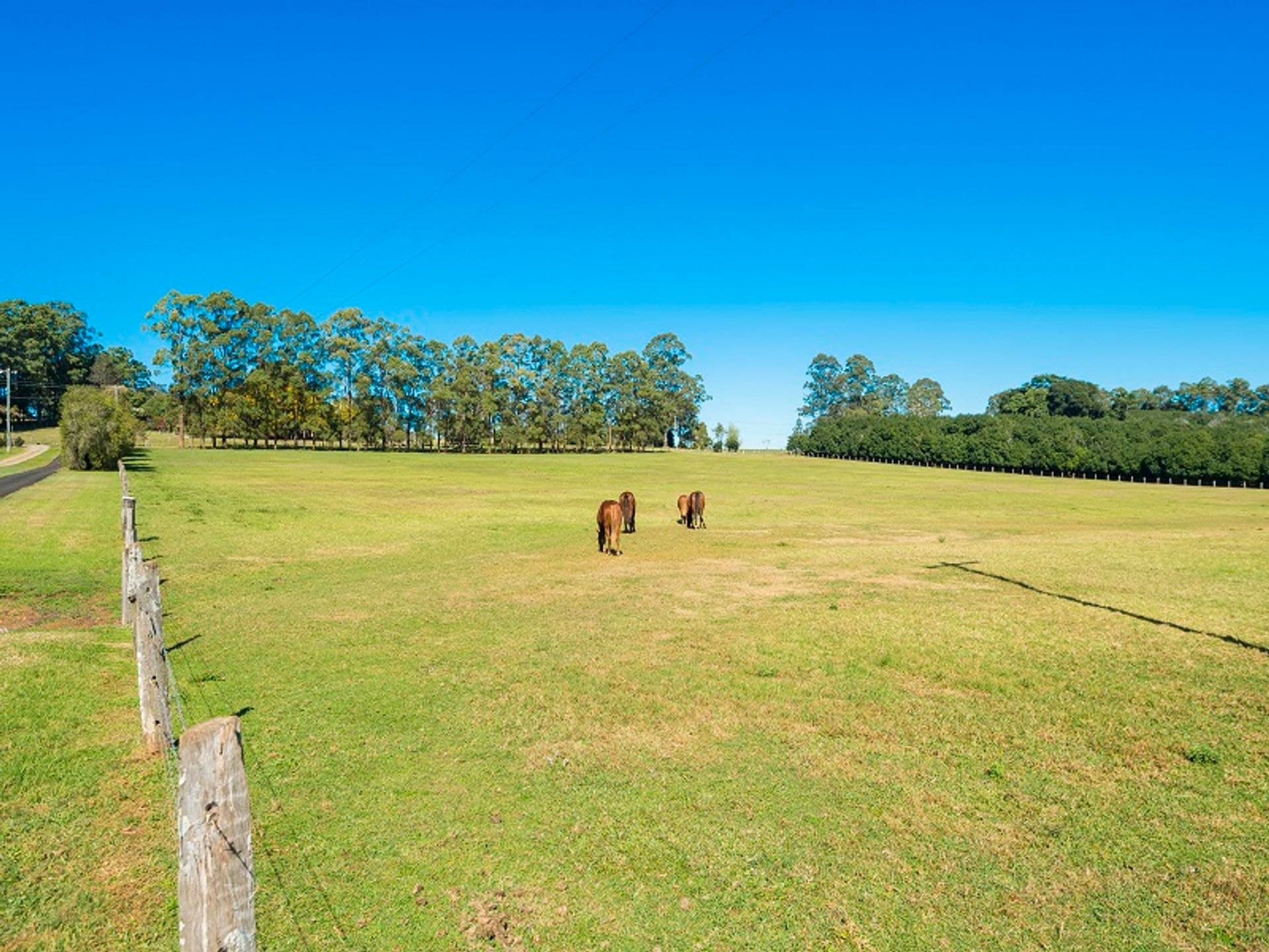 Address Withheld, Rous Mill, NSW, 2477, Rous Mill - Thumbnail 2