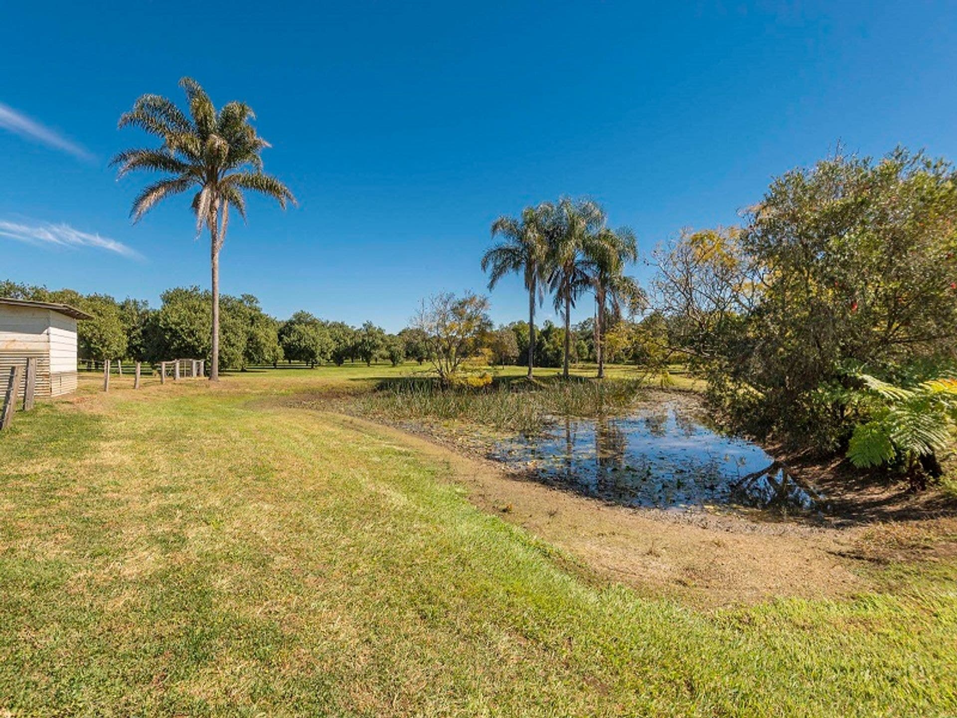 Address Withheld, Rous Mill, NSW, 2477, Rous Mill - Thumbnail 5