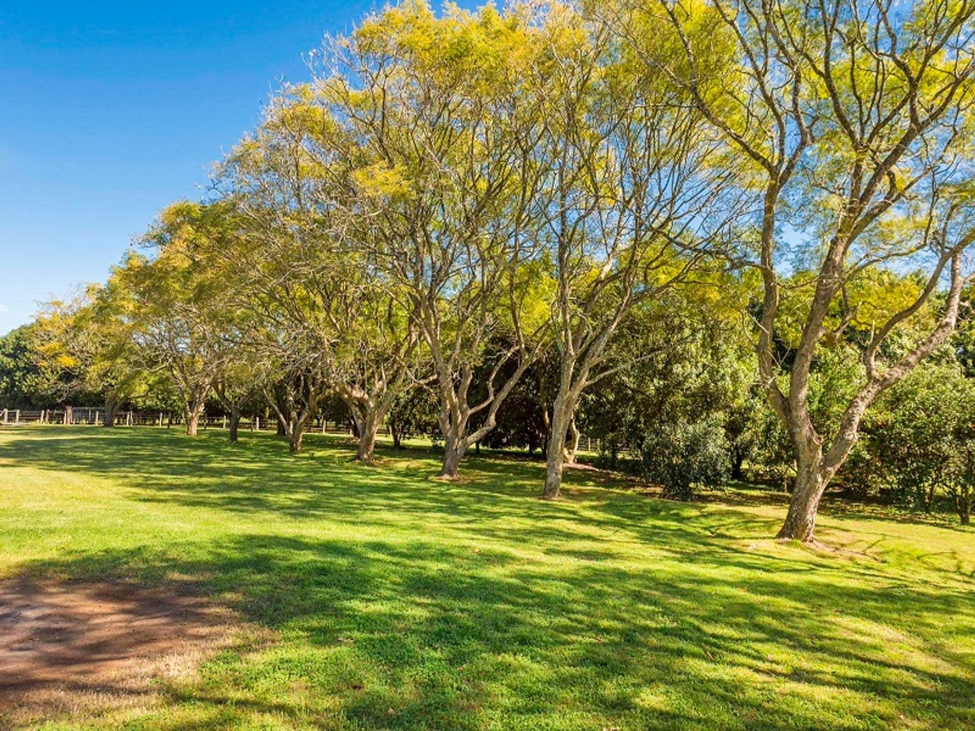 Address Withheld, Rous Mill, NSW, 2477, Rous Mill - Thumbnail 7