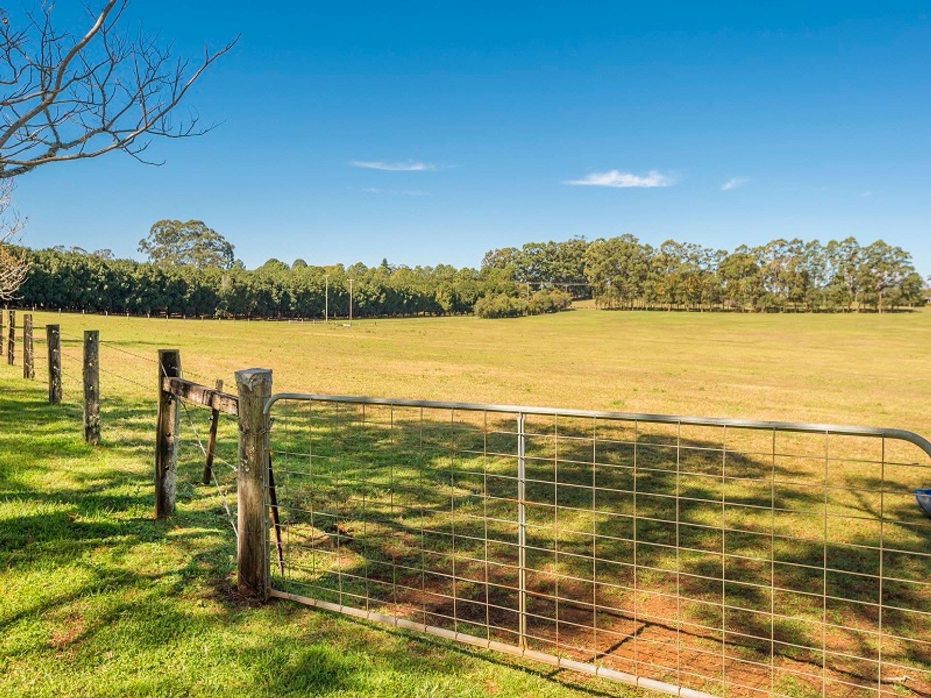 Address Withheld, Rous Mill, NSW, 2477, Rous Mill - Thumbnail 8