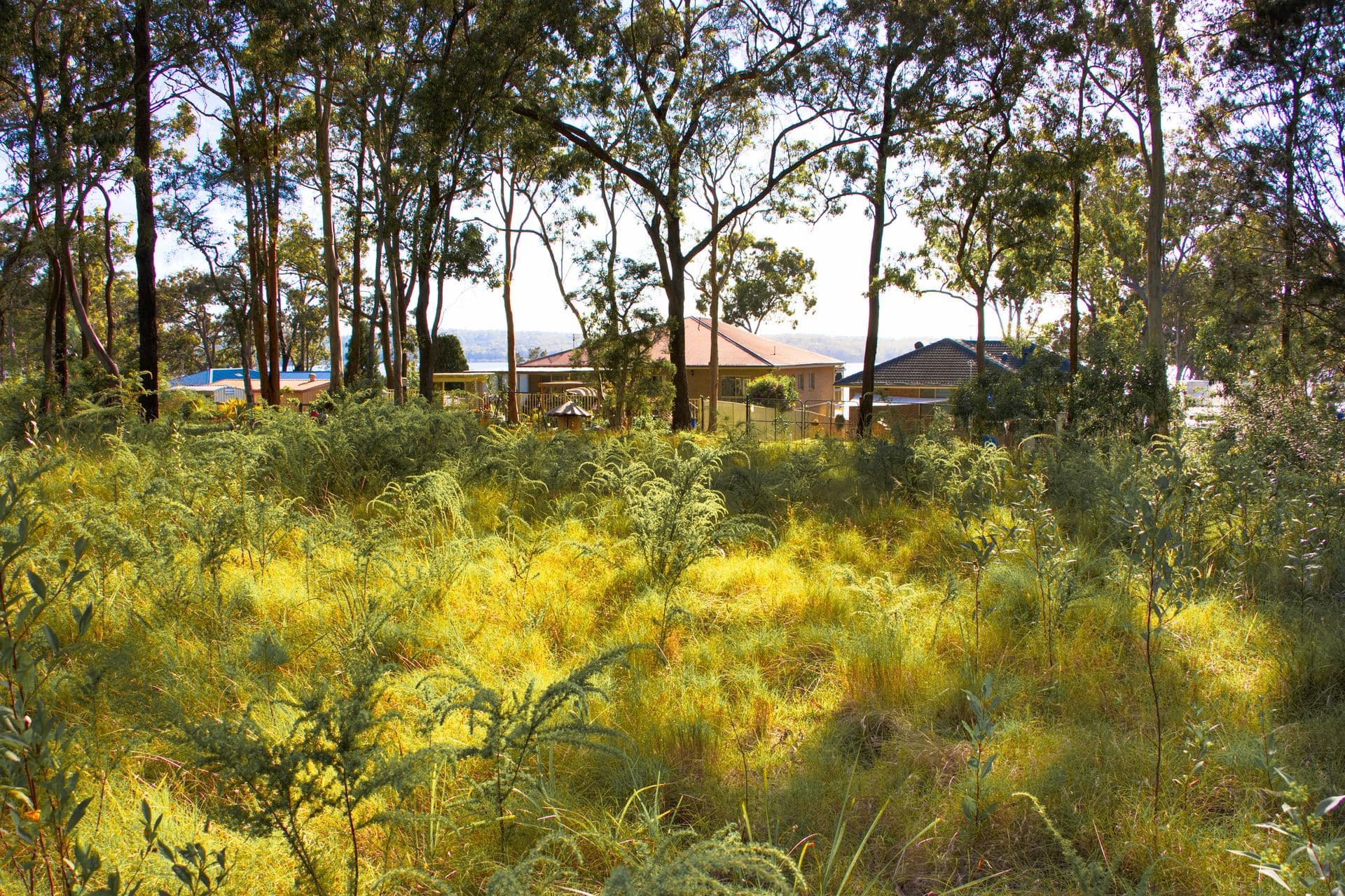 1/71 Marine Drive, Tea Gardens, NSW, 2324, North Arm Cove - Image 1