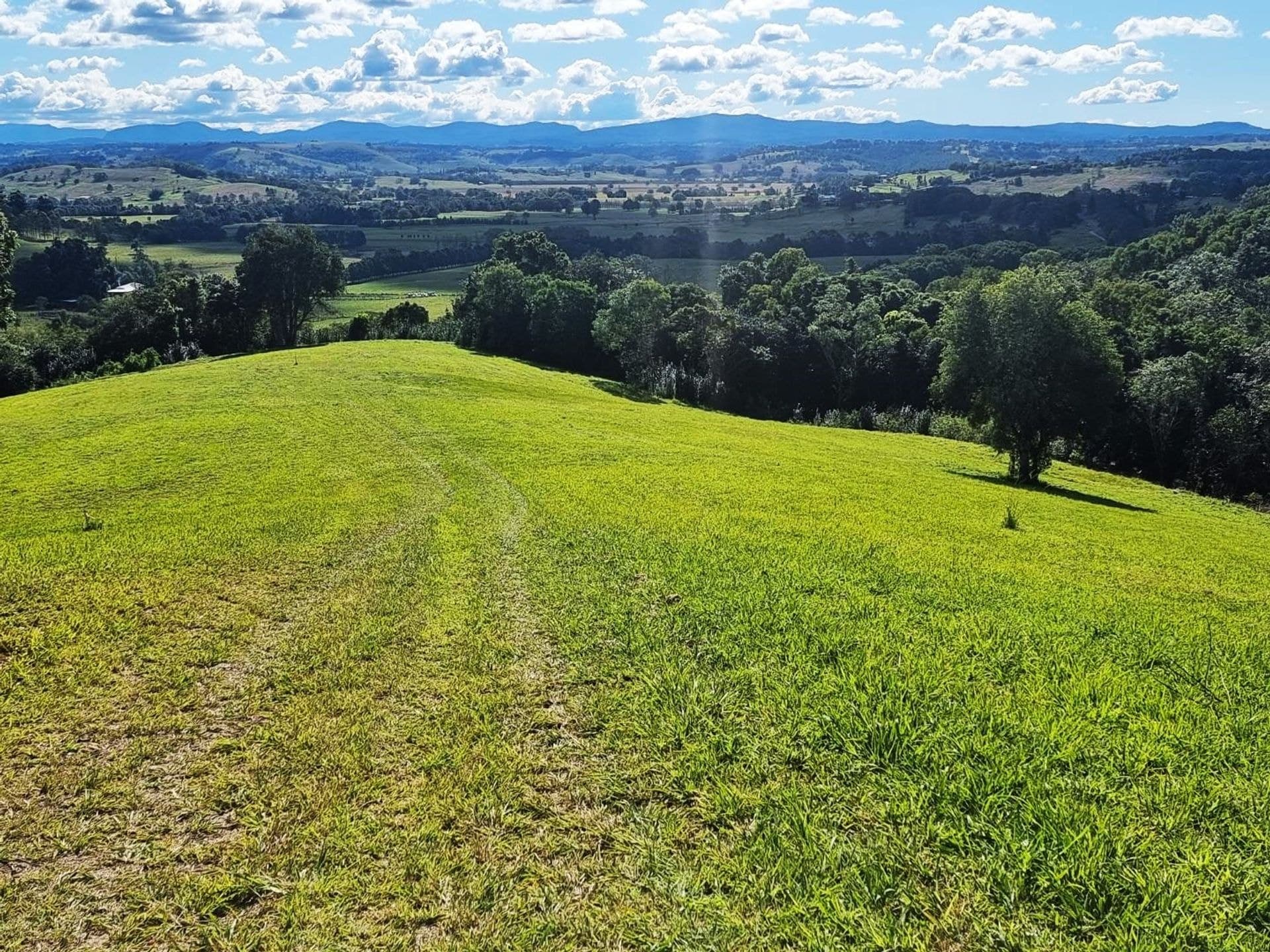 48 Lincoln Avenue, McLeans Ridges, NSW, 2480, McLeans Ridges - Thumbnail 7