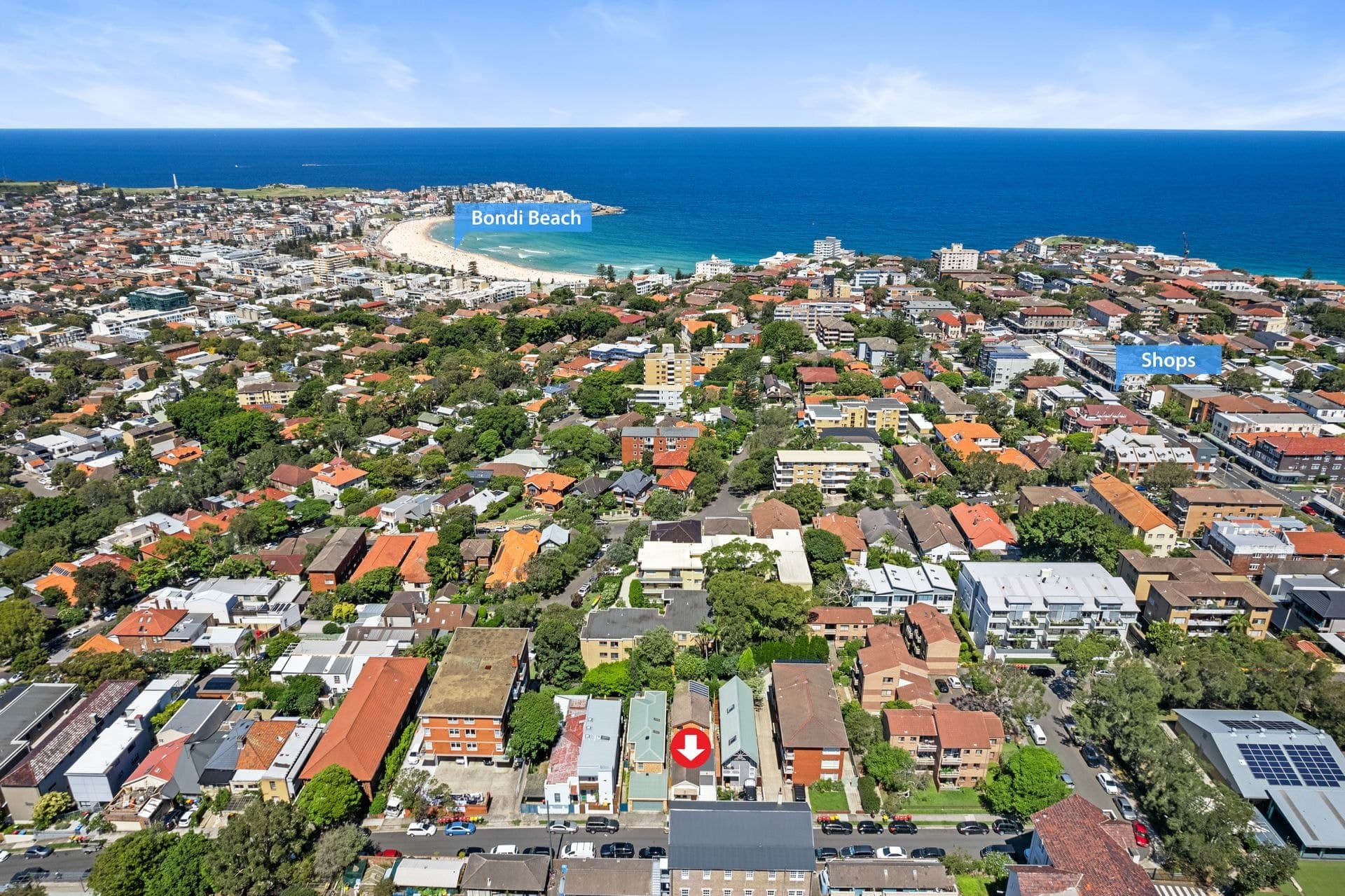 32 Moore Street, Bondi, NSW, 2026, Bondi - Thumbnail 4