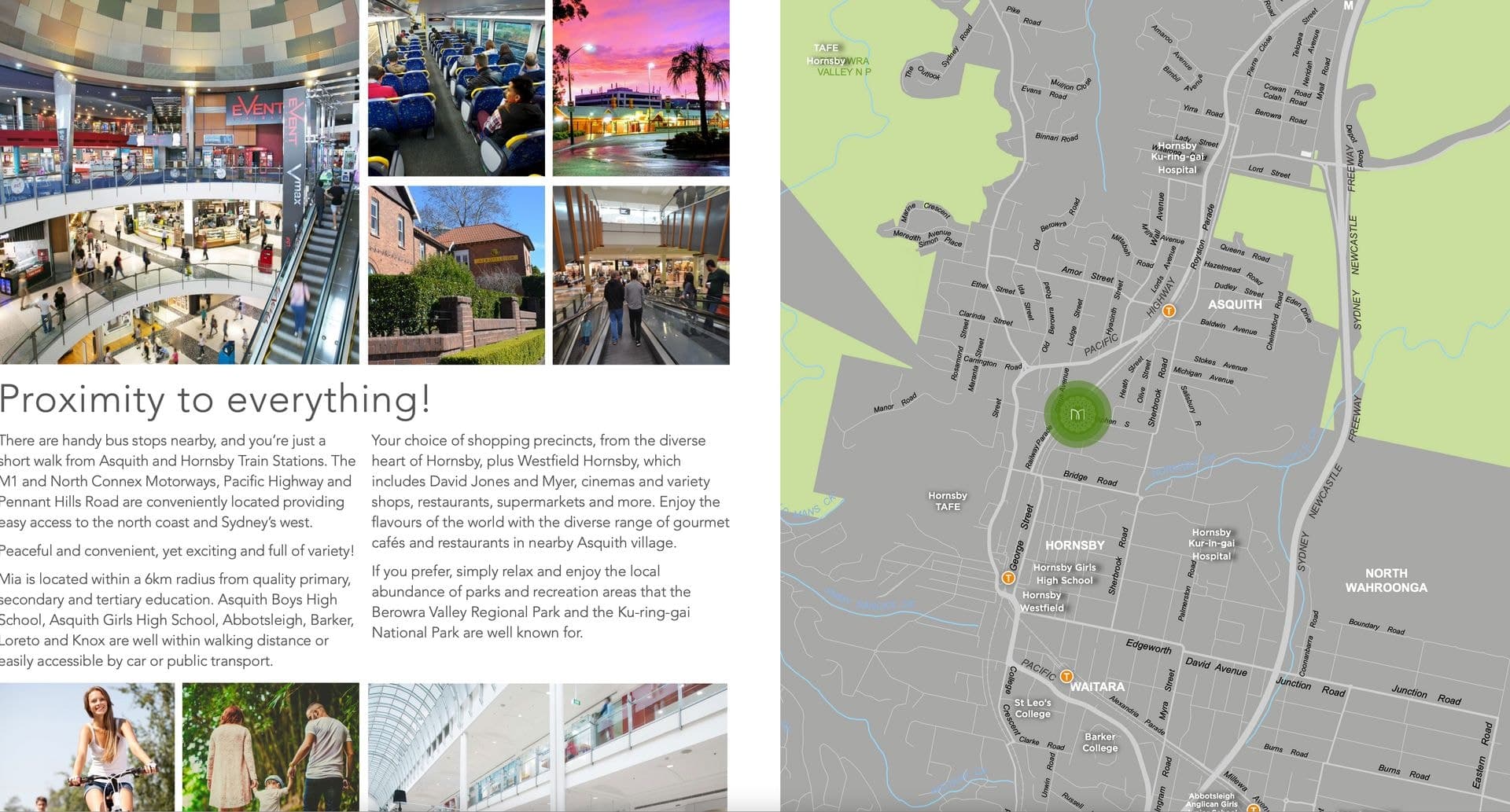 24-26 Citrus Avenue, Hornsby, NSW, 2077, Hornsby - Thumbnail 5