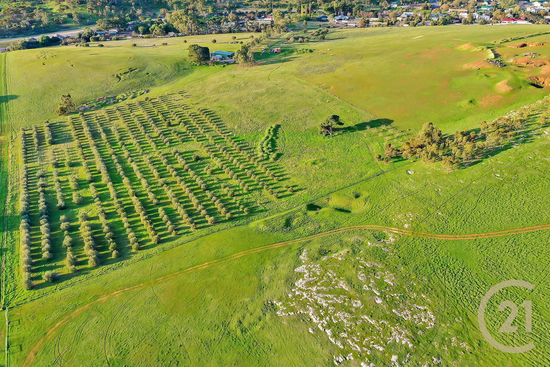 1/504 Grand Junction Road, Northfield, SA, 5085, Penrice - Thumbnail 3