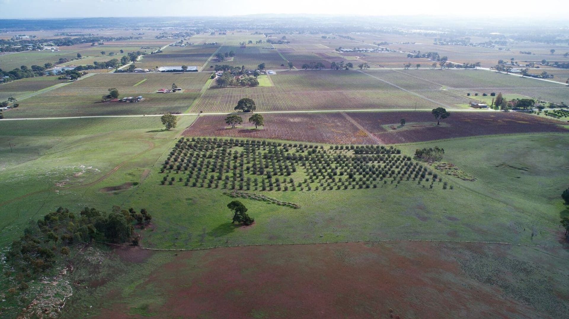 1/504 Grand Junction Road, Northfield, SA, 5085, Penrice - Thumbnail 5