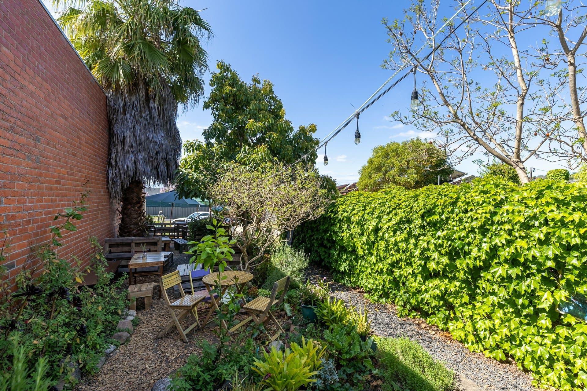 161 Carp Street, Bega, Bega - Thumbnail 8