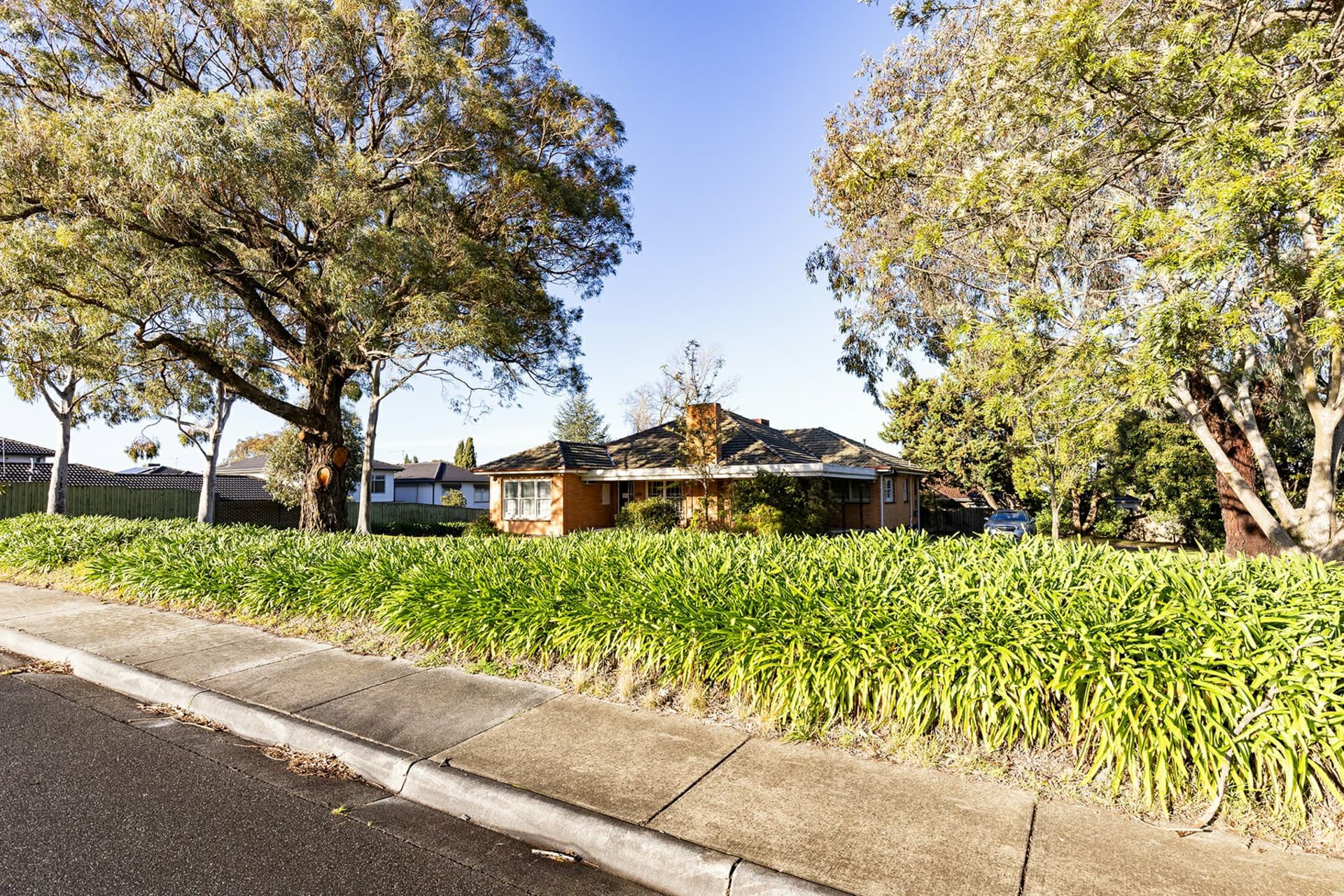 314 Boronia Road, Boronia, Boronia - Thumbnail 4