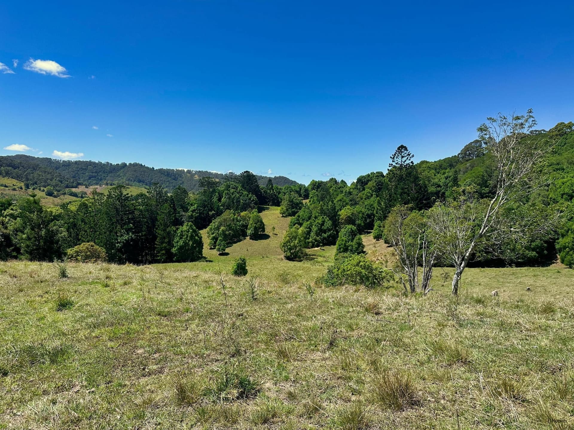 5993 Tweed Valley Way, Mooball, Mooball - Thumbnail 4