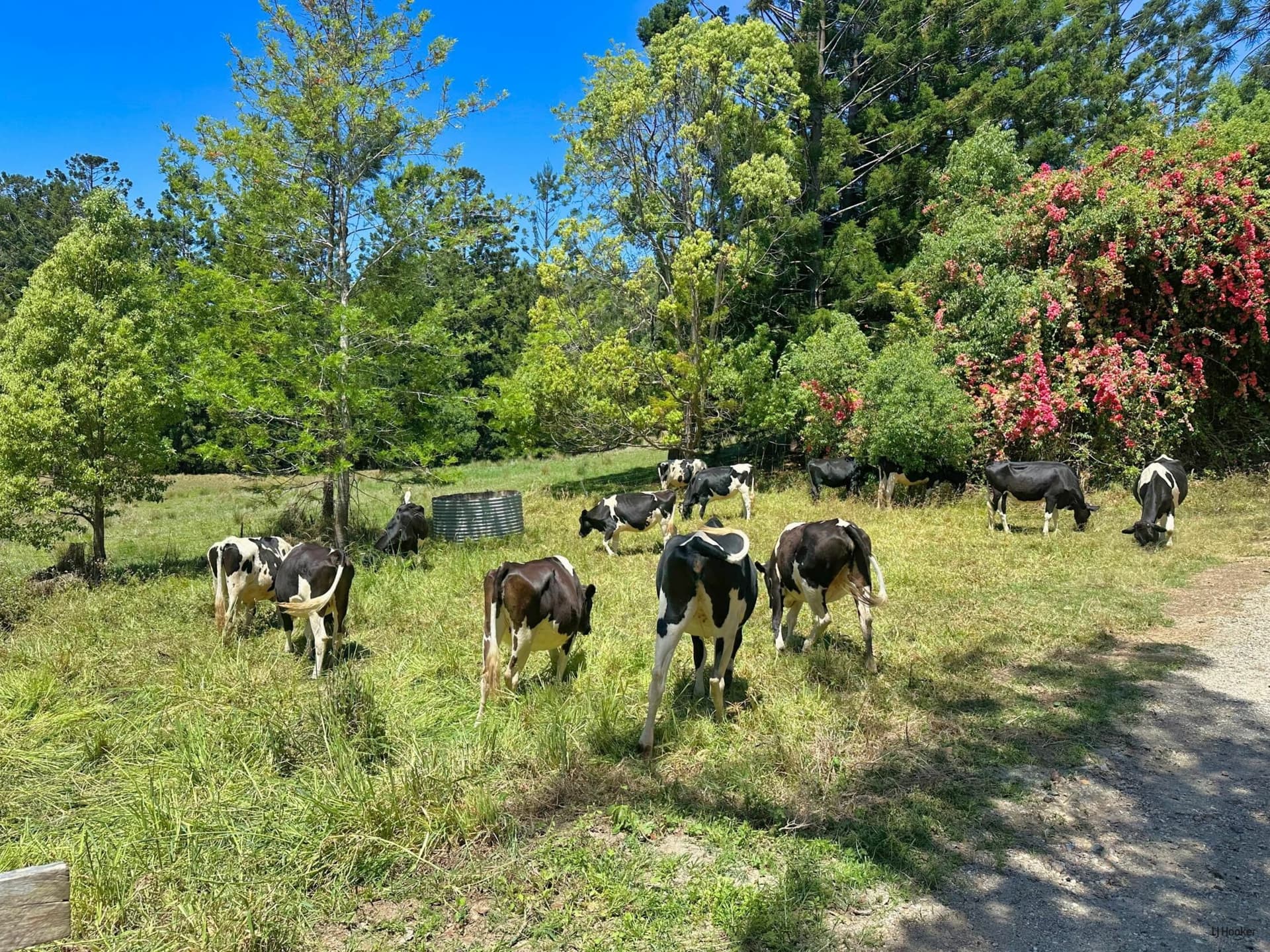 5993 Tweed Valley Way, Mooball, Mooball - Thumbnail 8