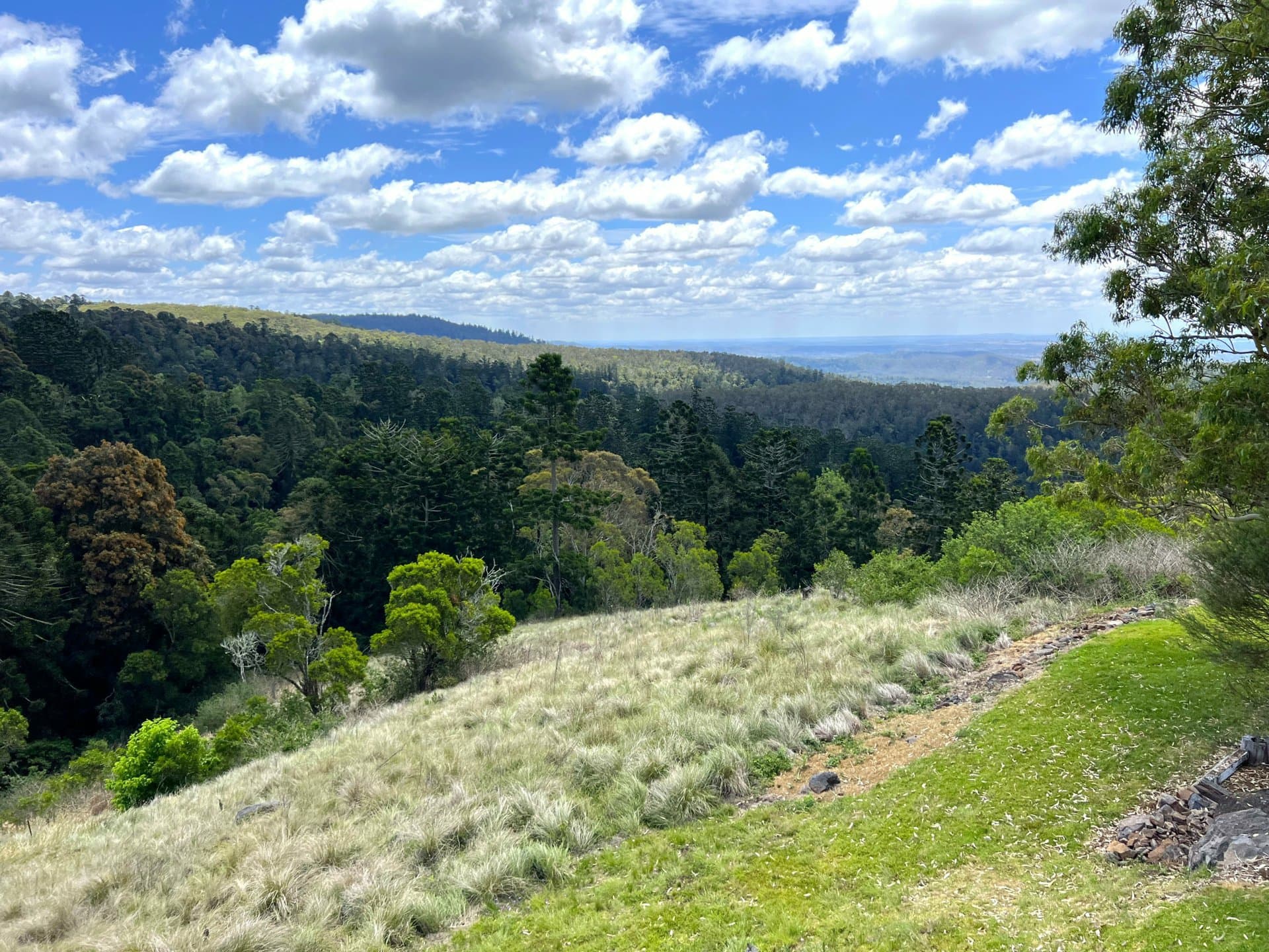 50 Bowerbird Lane, Bunya Mountains, Bunya Mountains - Thumbnail 3
