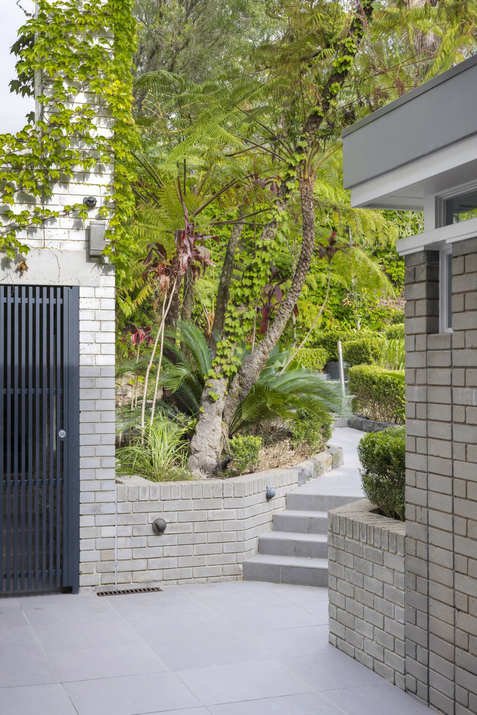 6 Ruby Street,Mosman, Mosman - Thumbnail 7
