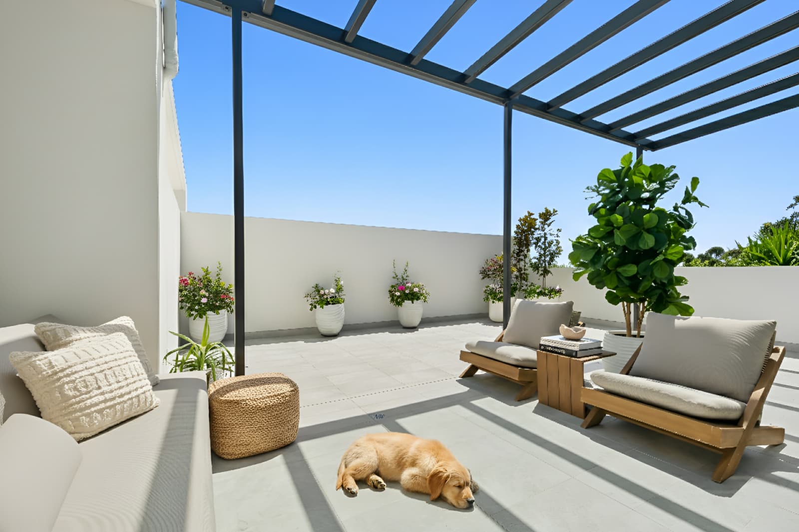 41/17 Moseley Street,Carlingford, Carlingford - Thumbnail 6