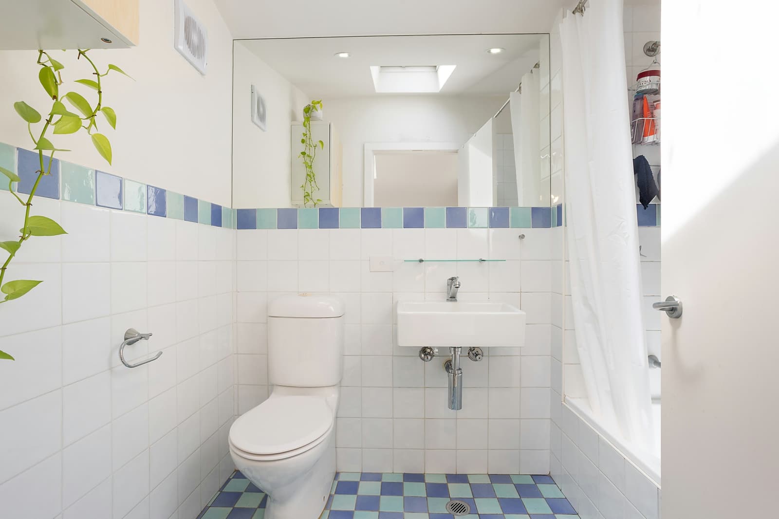 17 Hegarty Street, GLEBE, Glebe - Thumbnail 5