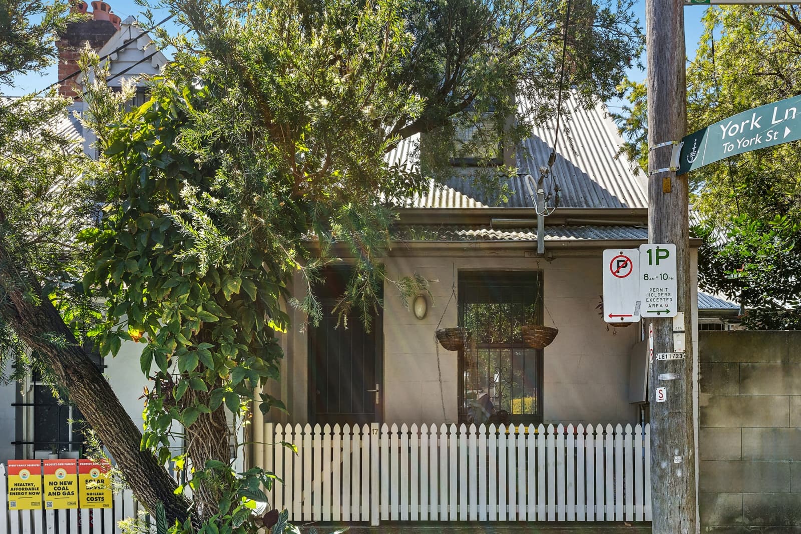 17 Hegarty Street, GLEBE, Glebe - Thumbnail 7