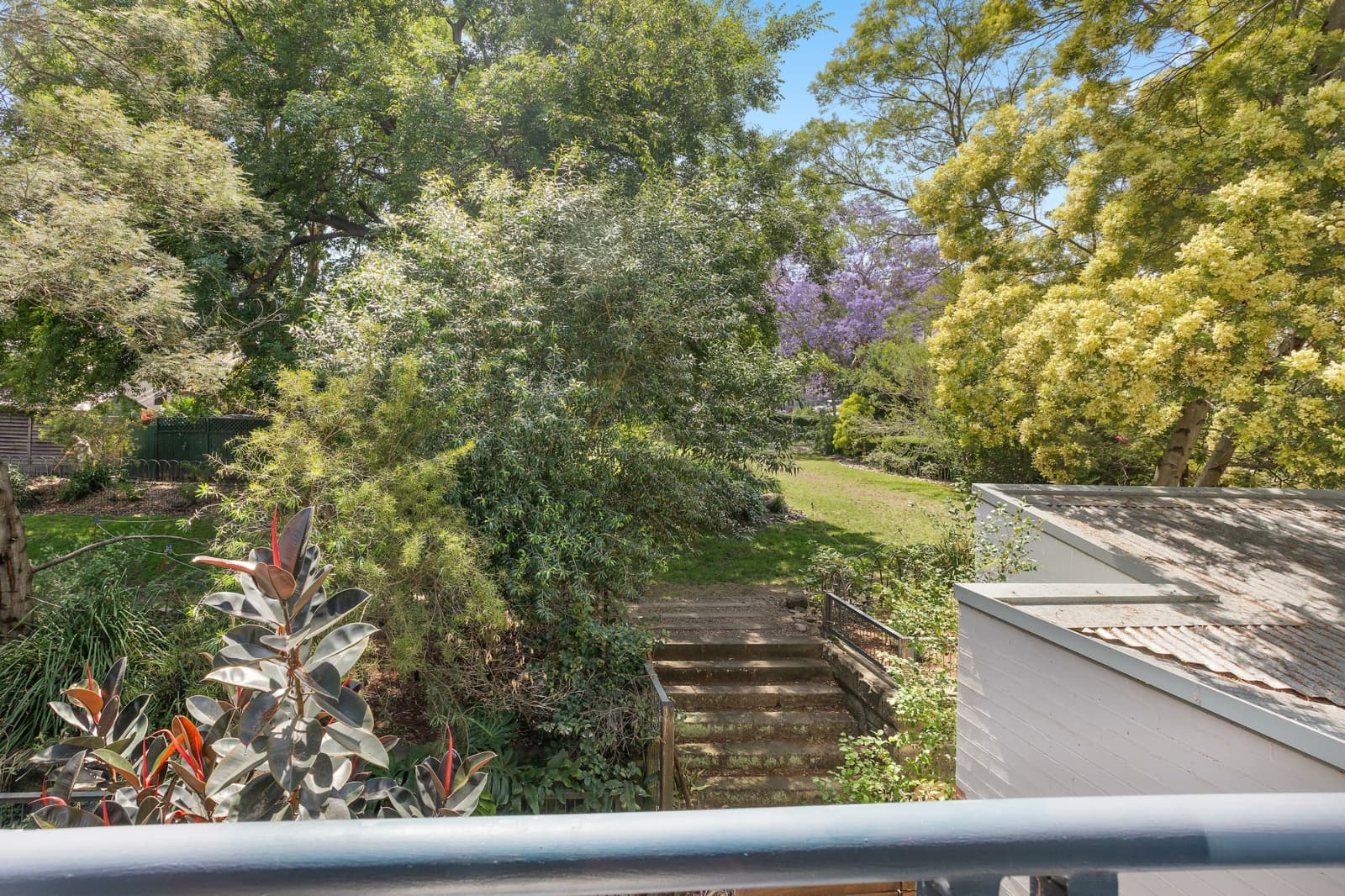 17 Hegarty Street, GLEBE, Glebe - Thumbnail 8