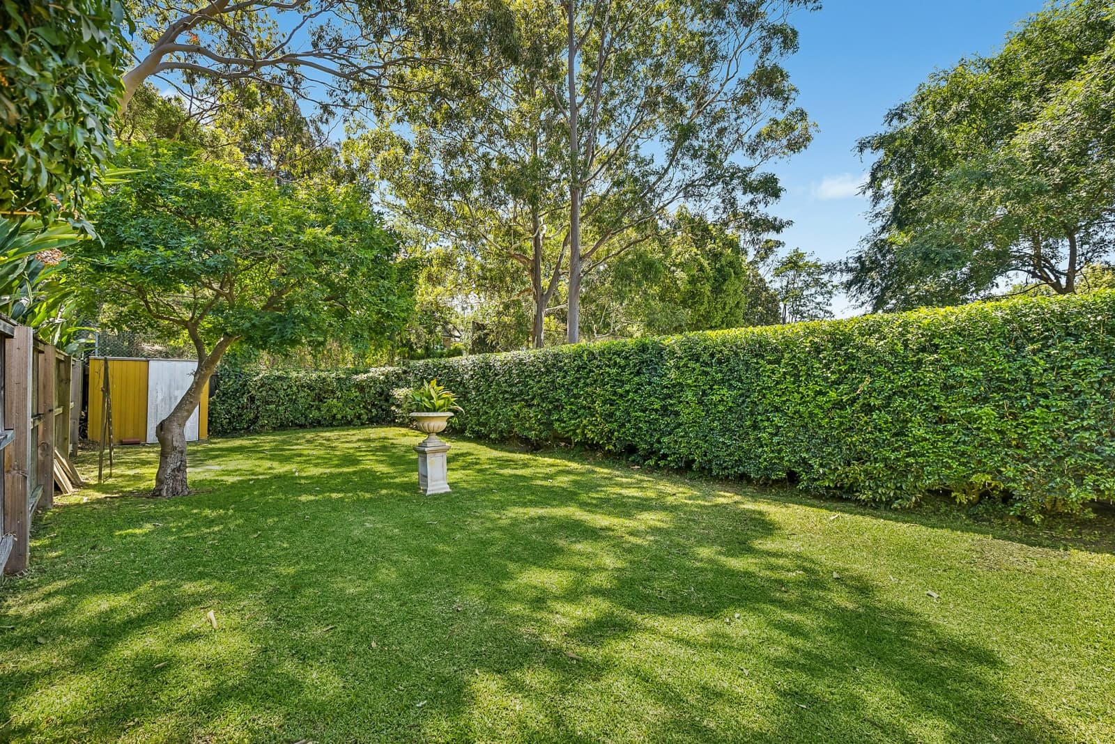 282 Hawthorne Parade,Haberfield, Haberfield - Thumbnail 3