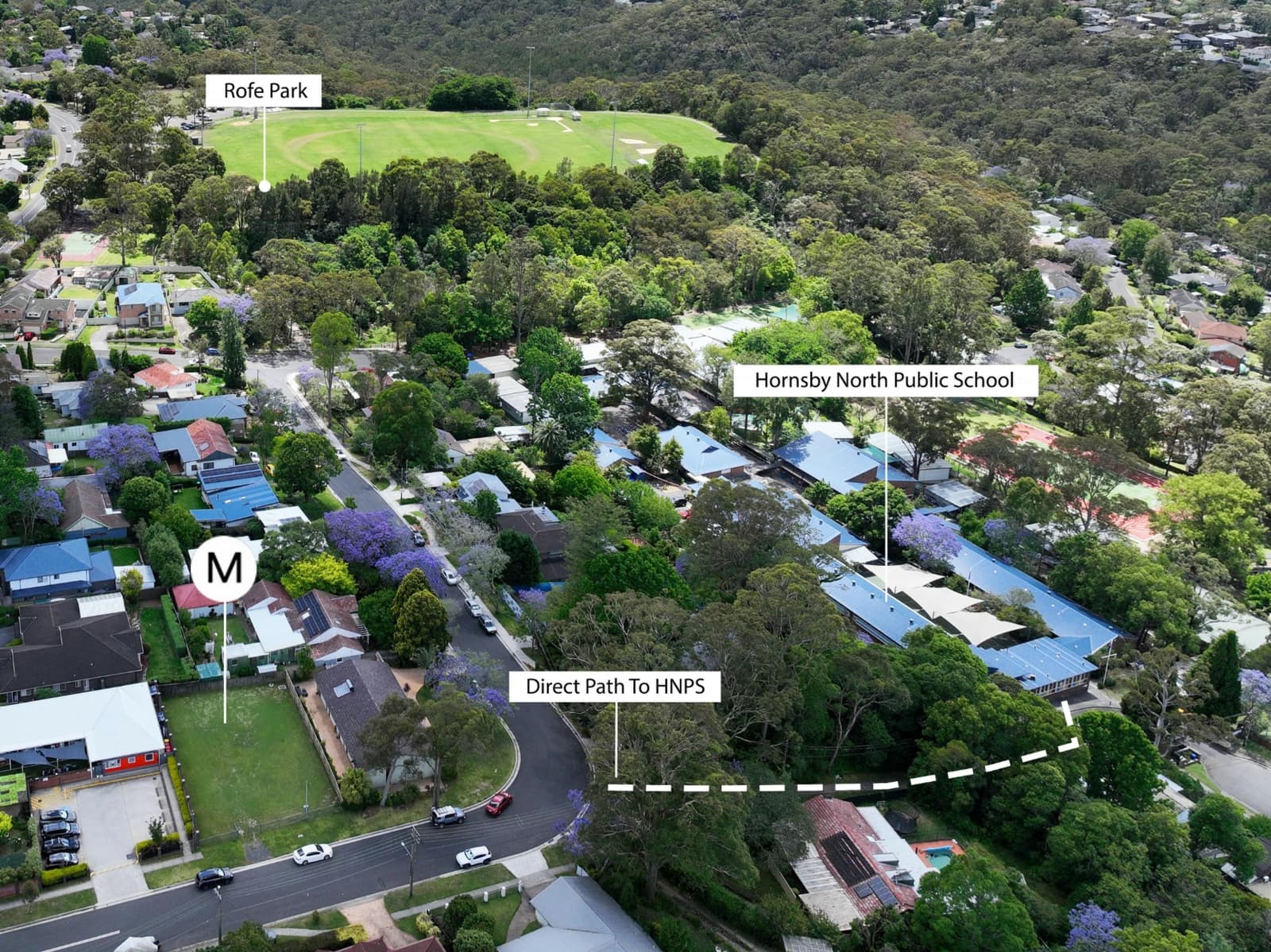 1A Bushlands Avenue,Hornsby Heights, Hornsby Heights - Thumbnail 4