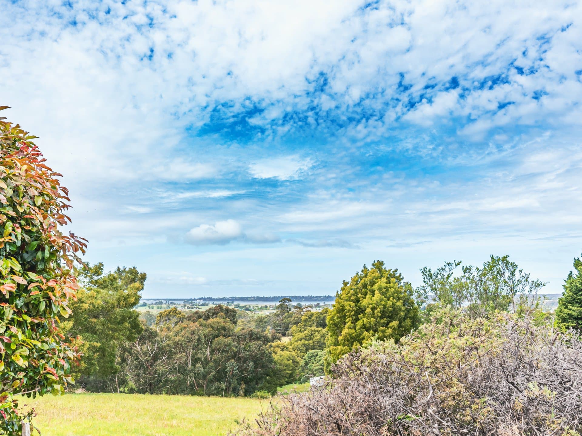 25598 Tasman Highway, St Helens, St Helens - Thumbnail 3