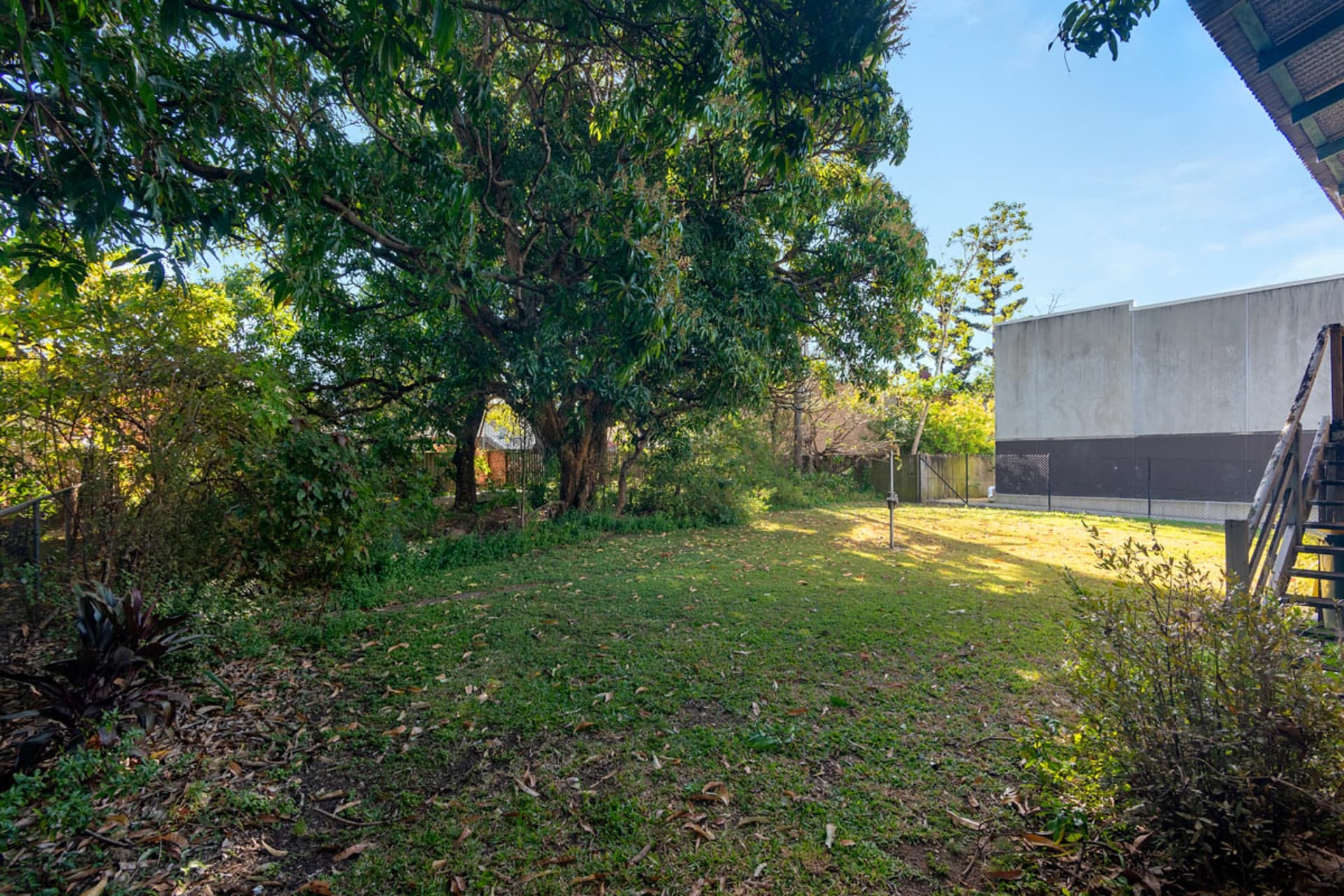 916 Sandgate Road, Clayfield, Clayfield - Thumbnail 5
