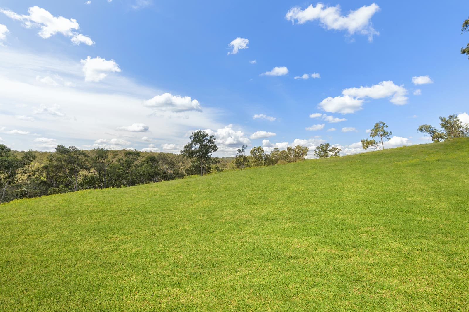 14 Bloodwood Place,Kenthurst, Kenthurst - Thumbnail 5