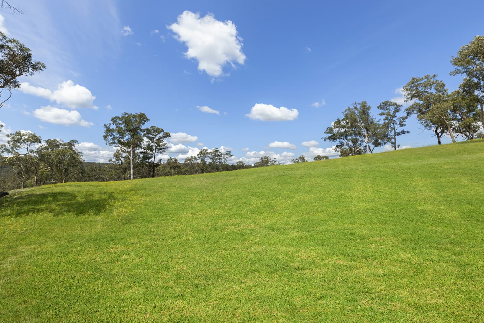 15 Bloodwood Place,Kenthurst, Kenthurst - Thumbnail 3