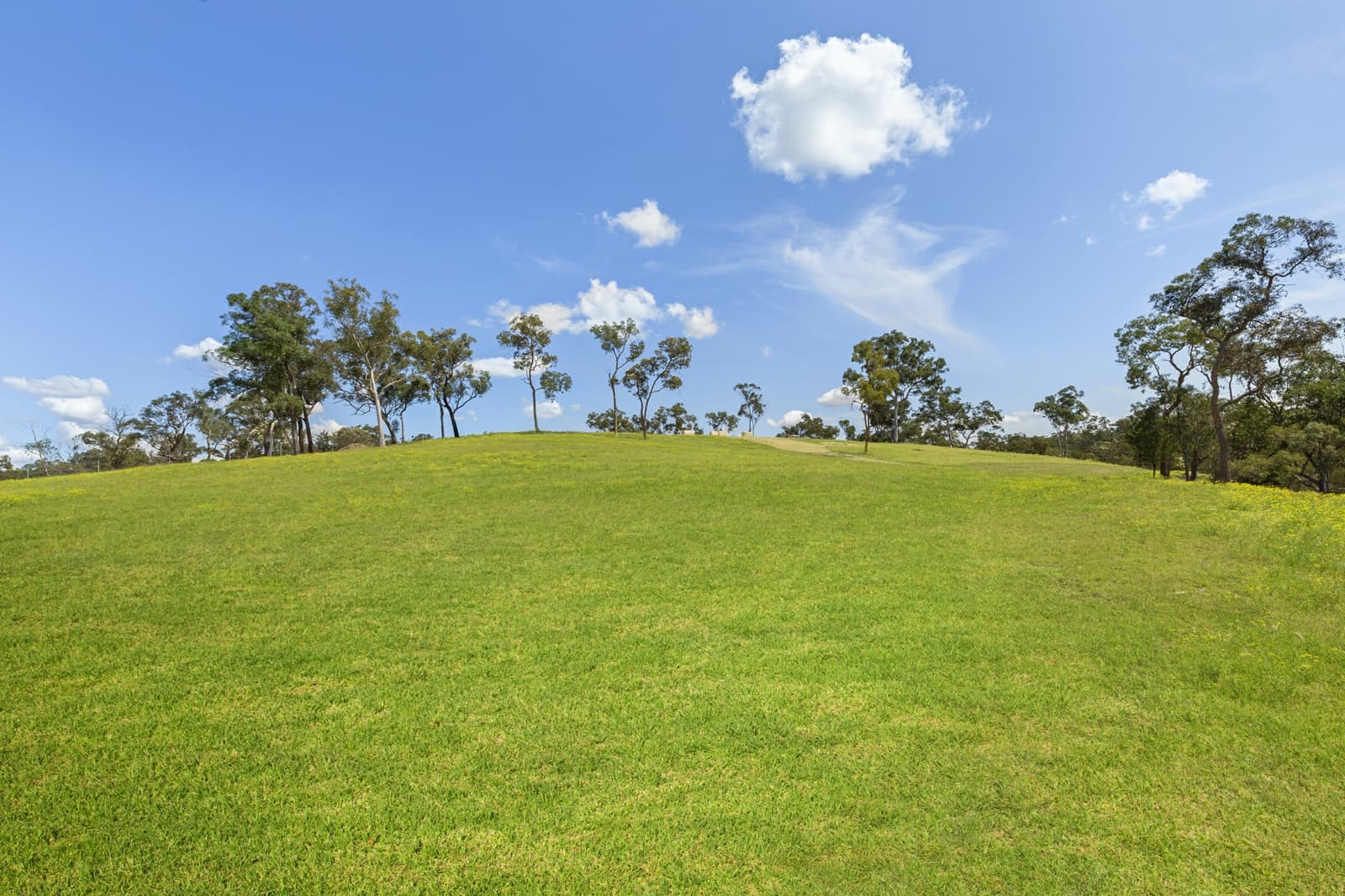 15 Bloodwood Place,Kenthurst, Kenthurst - Thumbnail 4