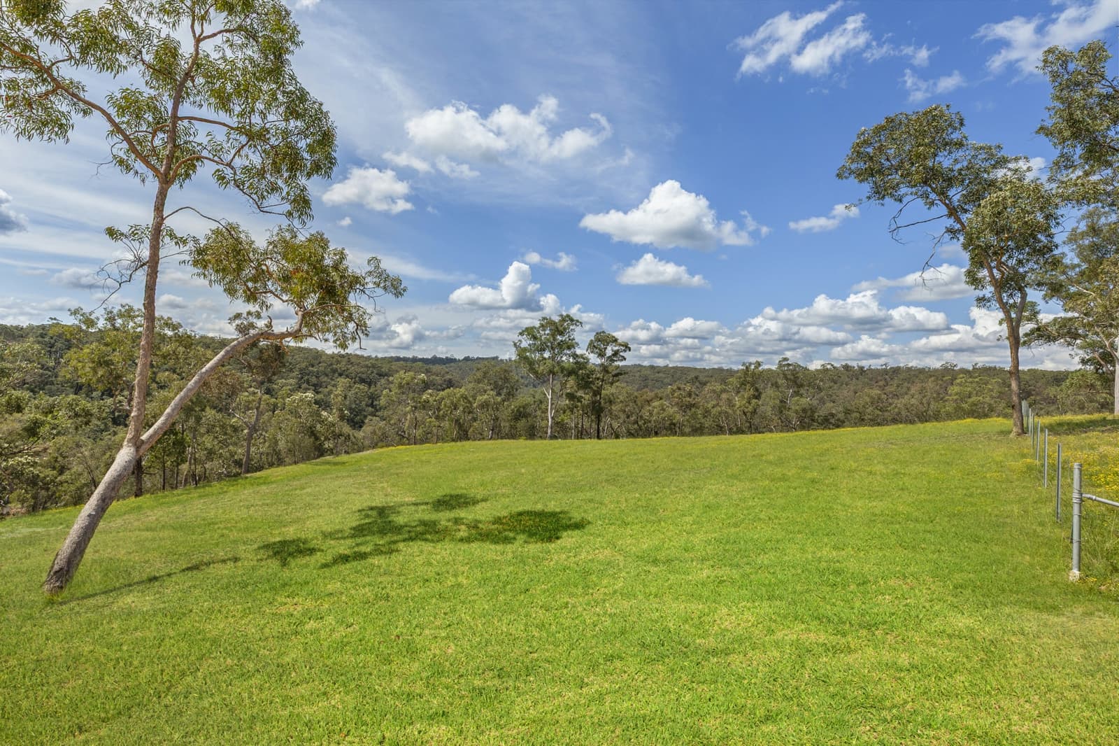 15 Bloodwood Place,Kenthurst, Kenthurst - Thumbnail 5