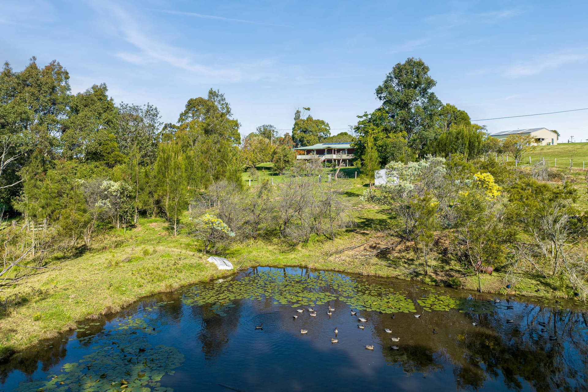 56 Mountain View Road, Moruya, Moruya - Thumbnail 4