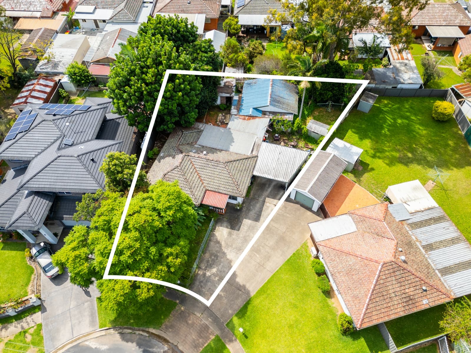 17 Thames Place,Seven Hills, Seven Hills - Thumbnail 4