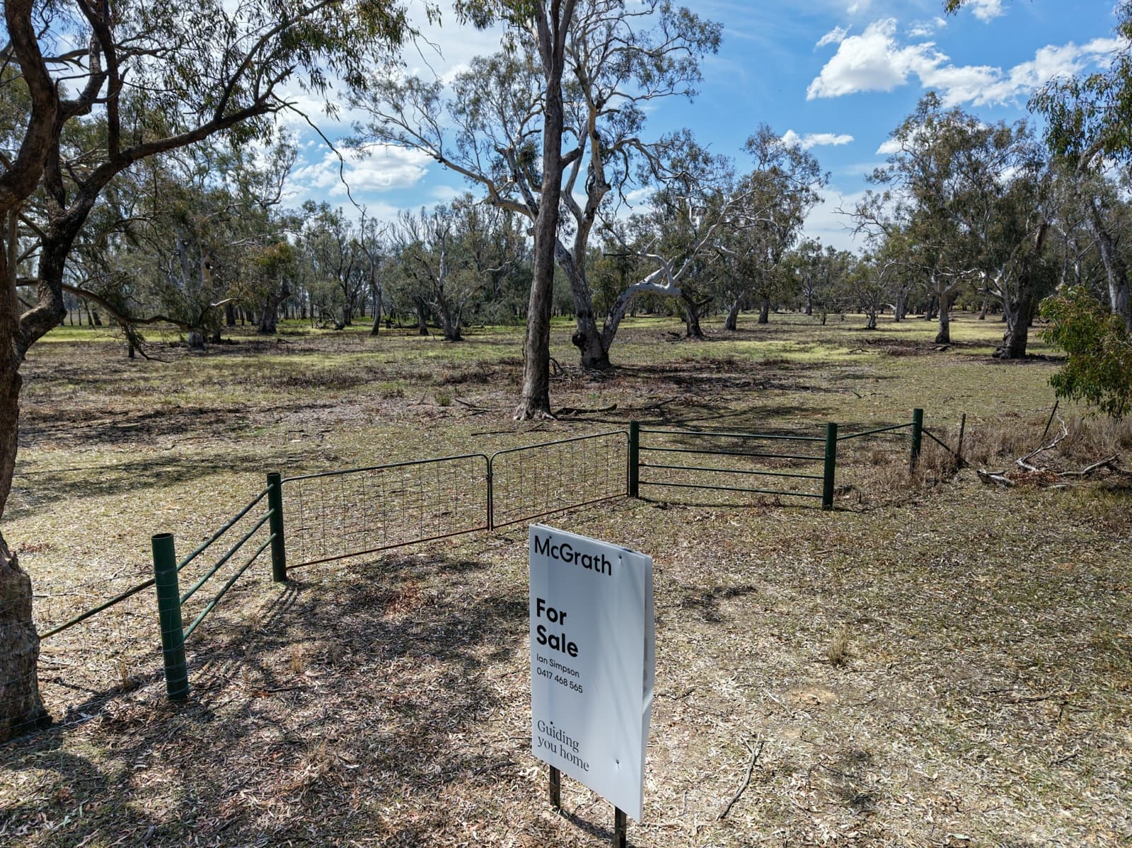 1359 Saddleback Road,Forbes, Forbes - Thumbnail 5