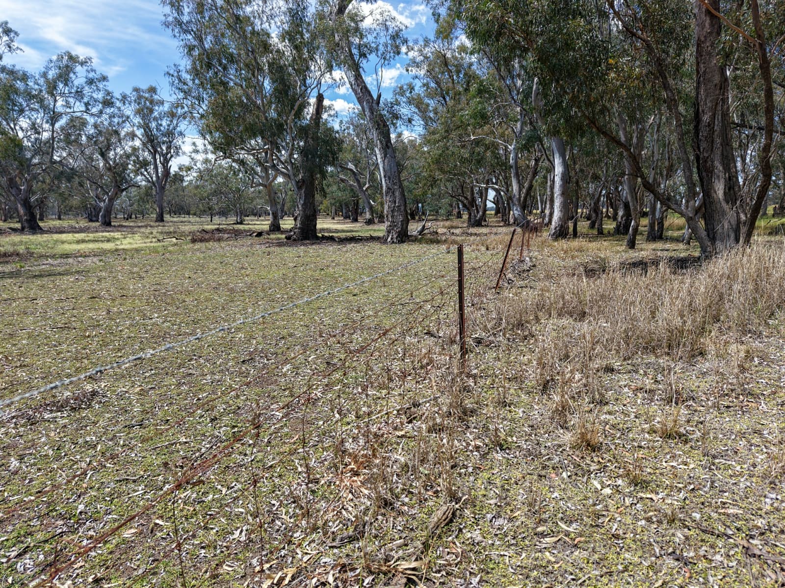 1359 Saddleback Road,Forbes, Forbes - Thumbnail 6