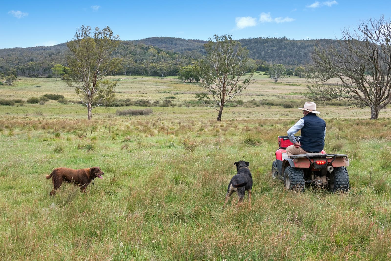 371 Mayfield Road,Braidwood, Larbert - Image 1