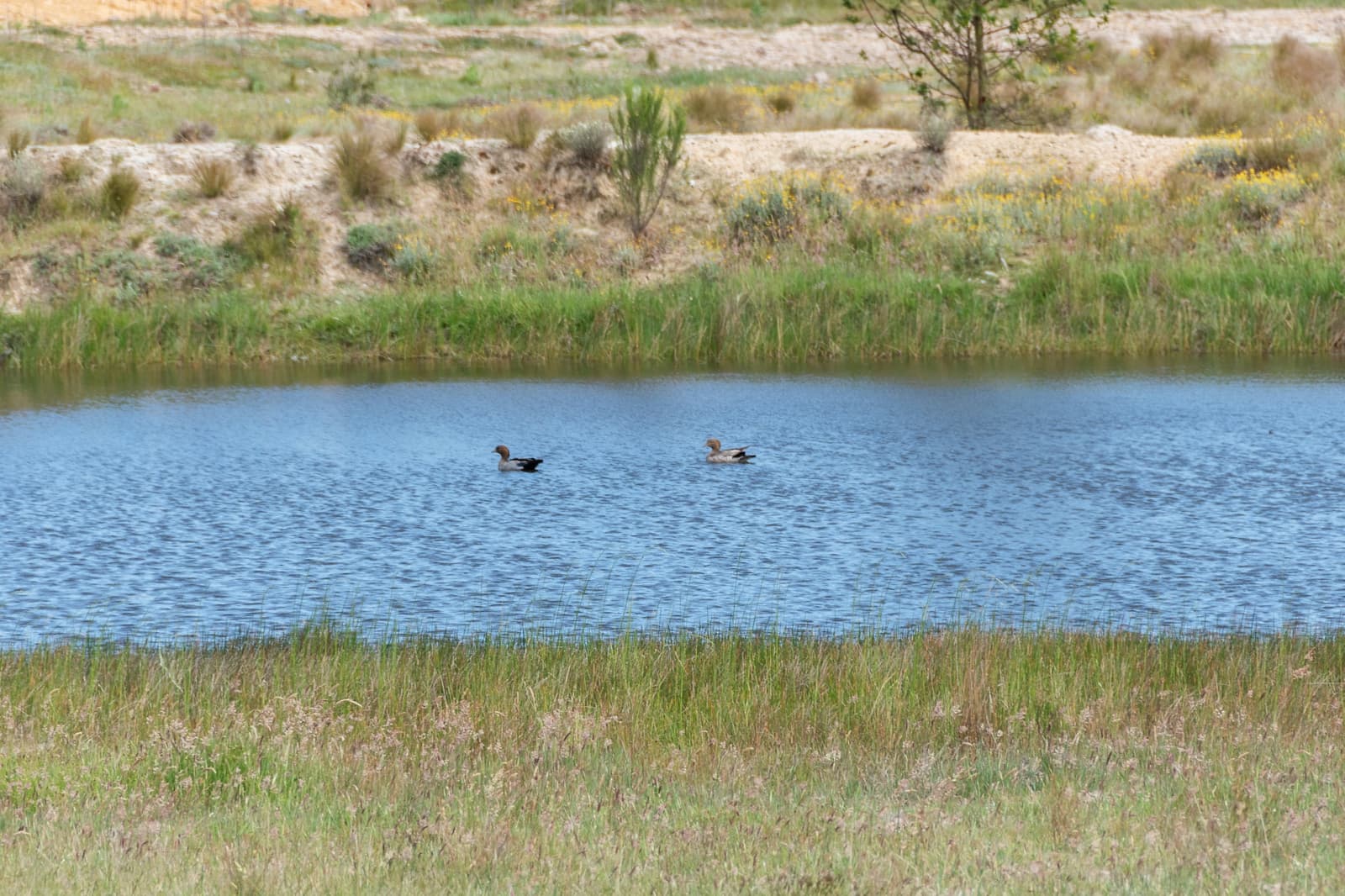 371 Mayfield Road,Braidwood, Larbert - Thumbnail 2