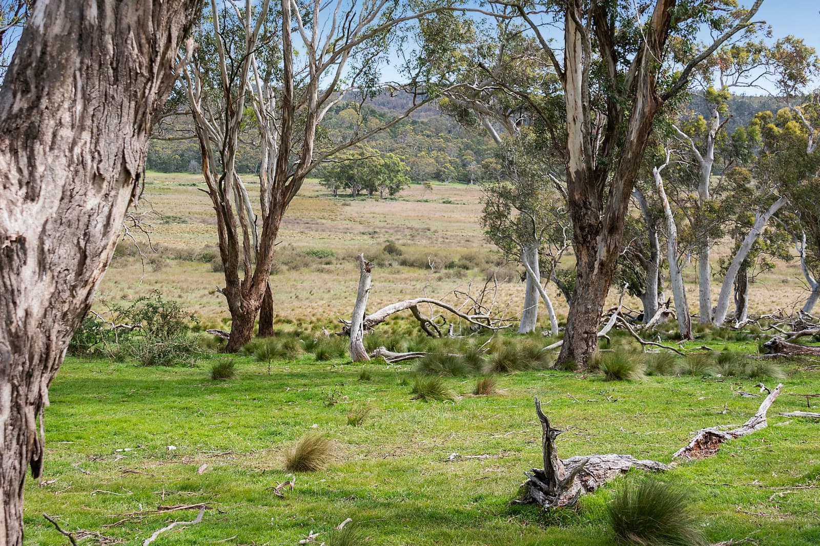 371 Mayfield Road,Braidwood, Larbert - Thumbnail 4