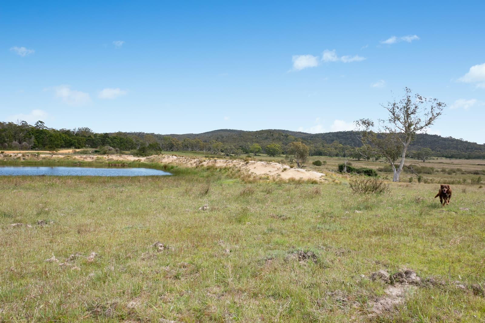 371 Mayfield Road,Braidwood, Larbert - Thumbnail 6