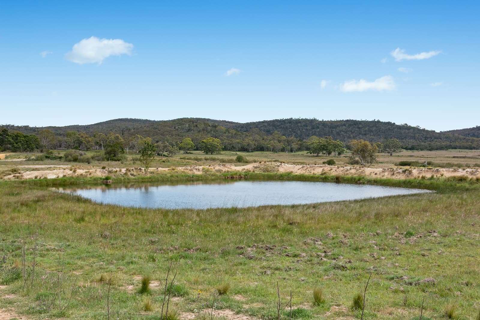 371 Mayfield Road,Braidwood, Larbert - Thumbnail 7