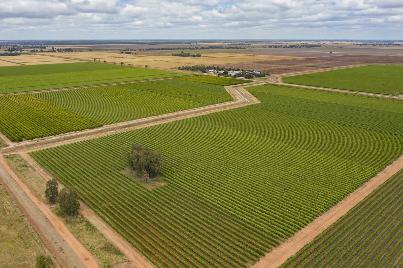 126 & 127 Yate Road,Leeton, Leeton - Image 1