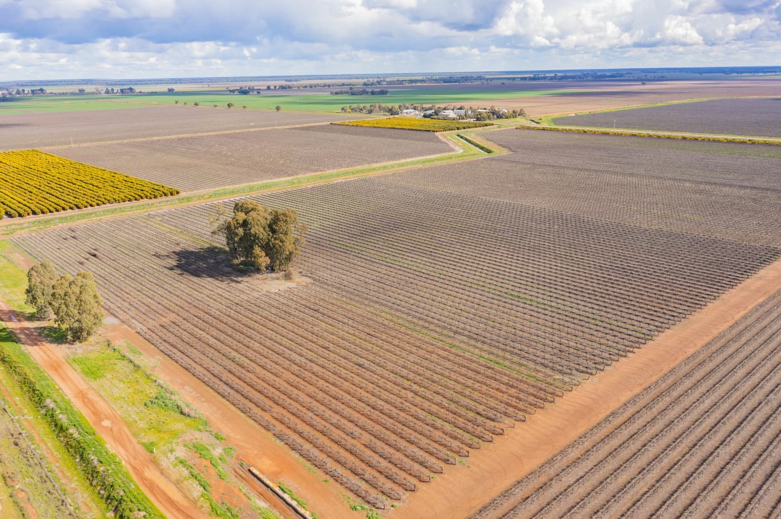 126 & 127 Yate Road,Leeton, Leeton - Thumbnail 2