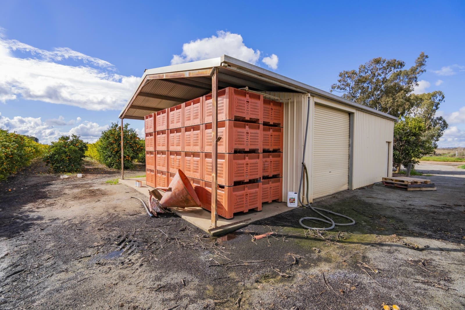 126 & 127 Yate Road,Leeton, Leeton - Thumbnail 5