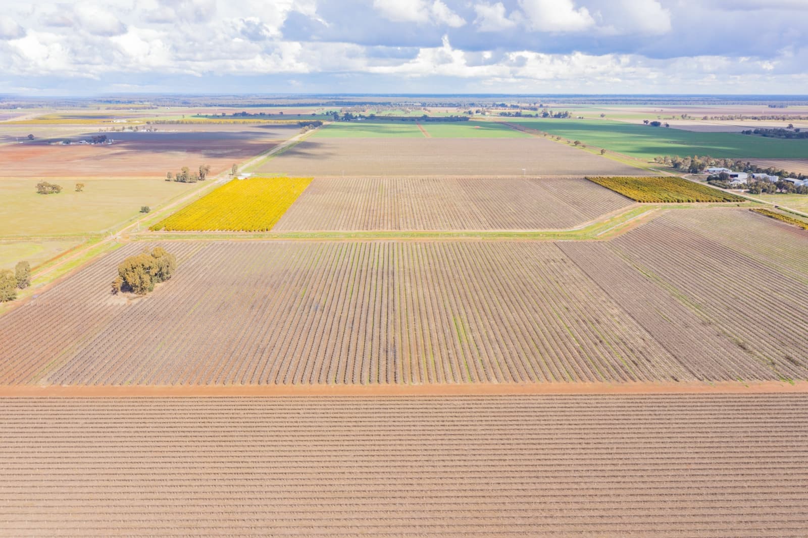 126 & 127 Yate Road,Leeton, Leeton - Thumbnail 7